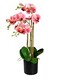 Serene Spaces Living 3 Pink Realistic Phalaenopsis Orchids in Black Plastic Pot Artificial Potted Flowers Beautiful Entryway Vase Foyer Table Dcor Great Gift Measures 5 Diameter 26 Tall