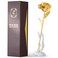 ECO SPACE Gold Dipped Rose 24K Handcrafted Preserved Real Rose Gold
