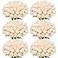 Jexine 50 Pcs Artificial Rose Flower Bulk Realistic Silk Fake Roses with Long Stem Plastic Artificial Flower Bouquet Real Looking for Home Wedding Centerpieces Party DecorationBeige Champagne