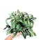 DODXIAOBEUL 12 Pcs Faux Olive Branches for Vase 114 Fake Plant Olive Tree Branches Artificial Greenery Decorfor Home Weddings Party Decor Vase Floral Arrangement