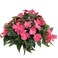 Lopkey Artificial Impatiens Bouquet Flower Patio Lawn Garden Wedding Photo Decor 2PcsPink