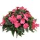 Lopkey Artificial Impatiens Bouquet Flower Patio Lawn Garden Wedding Photo Decor 2PcsPink