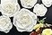 Letjolt White Paper Flowers Decorations for Wall Set 6