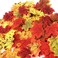 CODE FLORIST 200 Pcs Fall Artificial Maple Leaves for ThanksgivingWeddings DecorationsFestival Events