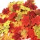 CODE FLORIST 200 Pcs Fall Artificial Maple Leaves for ThanksgivingWeddings DecorationsFestival Events