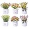 LUEUR 6Pcs Artificial Flowers with Ceramic Pot Fake Flower Arrangements Small Faux Spring Flowers in Vase Spring Summer Decor Centerpiece Table Decorations for Easter Home Office Shelf