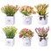 LUEUR 6Pcs Artificial Flowers with Ceramic Pot Fake Flower Arrangements Small Faux Spring Flowers in Vase Spring Summer Decor Centerpiece Table Decorations for Easter Home Office Shelf