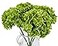 TOPIA High Details Hydrangea Silk Flowers About 225 Petals Each Flower Artificial Hydrangea Flowers Green Silk Hydrangea Flowers Pack of 4 Green