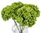 TOPIA High Details Hydrangea Silk Flowers About 225 Petals Each Flower Artificial Hydrangea Flowers Green Silk Hydrangea Flowers Pack of 4 Green