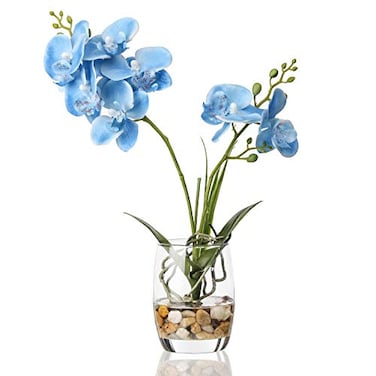 Jusdreen Artificial Blue Orchid in Glass Vase Realistic Phalaenopsis Arrangement with Potting for Home Office Table Decor 145 Inch Flower Centerpiece
