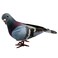 Pilarmuture Artificial Simulation Foam Birds Sparrow Ornaments Mini Artificial Imitation Animal Fake Pigeon Removable Feather Birds for Craft Home Ornaments Garden Wedding DecorationRandom