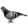 Pilarmuture Artificial Simulation Foam Birds Sparrow Ornaments Mini Artificial Imitation Animal Fake Pigeon Removable Feather Birds for Craft Home Ornaments Garden Wedding DecorationRandom
