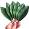 VENCELIN 20Pcs Artificial Magnolia Leaf Fake Green Leaves for Decorate Flower Garland Artificial Magnolia Leaf Stem