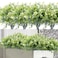 HANDIC Artificial Flowers for Outdoor 8pcs Plastic Flower Plants Fake Flowers UV Resistant Faux Flowers White