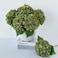 ZYTUYO 5 Pcs Silk Green Hydrangea Artificial Flowers 20 Faux Hydrangeas for Spring IndoorOutdoor Home Decor Wedding Arrangement