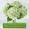 YalzoneMet 4Pcs Light Green Hydrangeas Artificial Flower Natural Lifelike 21 Long Stem Real Touch Hydrangea Latex Flower Bouquets for Home Living Room Party Wedding Table Centerpiece Decor
