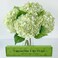 YalzoneMet 4Pcs Light Green Hydrangeas Artificial Flower Natural Lifelike 21 Long Stem Real Touch Hydrangea Latex Flower Bouquets for Home Living Room Party Wedding Table Centerpiece Decor