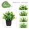 Der Rose 4 Pack Black Bathroom Decor Fake Plants Mini Artificial Greenery Potted Plants for Halloween Decor Indoor Office Table Room Farmhouse Decor