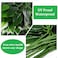 FUNORNAM 24Pcs Artificial Ficus Leaves Faux Tree Branches Greenery Plant Spray for Wedding Arch DIY Wreath Home Decor Green