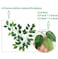 FUNORNAM 24Pcs Artificial Ficus Leaves Faux Tree Branches Greenery Plant Spray for Wedding Arch DIY Wreath Home Decor Green