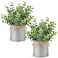 Mkono 2 Packs Small Fake Plants in Farmhouse Galvanized Pots Table Centerpiece Mini Faux Eucalyptus Potted Artificial Plants for Bathroom Shelf Room Rustic Home Decor