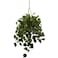 Nearly Natural Philodendron Hanging Basket UV Resistant IndoorOutdoor