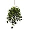 Nearly Natural Philodendron Hanging Basket UV Resistant IndoorOutdoor