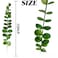 TIHOOD 25pcs Eucalyptus Stems Faux Greenery Artificial Eucalyptus Leaves Decor Branches for Wedding Centerpiece Flowers Bouquet Farmhouse Home Decoration