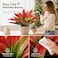 Ttranewsoo Artificial Agave PlantsLarge UV Resistant Fake Agave Planters for Indoor and Outdoor Decorating Tropical Plant Succulents Greenery Indoor Decor 2Pack22 Red
