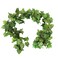 Botius Elegant 38 Ft Autumn Artificial Grape Leaf Garland 5 Strands Highly Realistic Fall Decor for Weddings Home Parties Wall Display