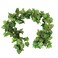 Botius Elegant 38 Ft Autumn Artificial Grape Leaf Garland 5 Strands Highly Realistic Fall Decor for Weddings Home Parties Wall Display
