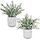 Winlyn 2 Pack Small Potted Eucalyptus Plant Artificial Plants Green Boxwood Rosemary Greenery in Modern Concrete Plant Pots
