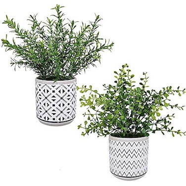 Winlyn 2 Pack Small Potted Eucalyptus Plant Artificial Plants Green Boxwood Rosemary Greenery in Modern Concrete Plant Pots