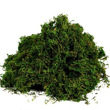 BYHER Artificial Moss Fake Green Grass for Centerpieces Home Kitchen Garden Decor 35OZ Fresh