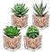 Briful Mini Fake Plants 4 Packs Succuletns Artificial Potted Plants in Cube Glass Vase Faux Succulents for Bathroom Living Room Kitchen Shelf Table Decor