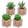 Briful Mini Fake Plants 4 Packs Succuletns Artificial Potted Plants in Cube Glass Vase Faux Succulents for Bathroom Living Room Kitchen Shelf Table Decor