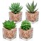 Briful Mini Fake Plants 4 Packs Succuletns Artificial Potted Plants in Cube Glass Vase Faux Succulents for Bathroom Living Room Kitchen Shelf Table Decor