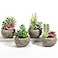 SPEPLA Succulents Plants Artificial 4 Pack Mini Fake Succulents in Pots Assorted Small Faux Succulent Decorative for Living Room Home Office Decor