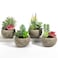 SPEPLA Succulents Plants Artificial 4 Pack Mini Fake Succulents in Pots Assorted Small Faux Succulent Decorative for Living Room Home Office Decor
