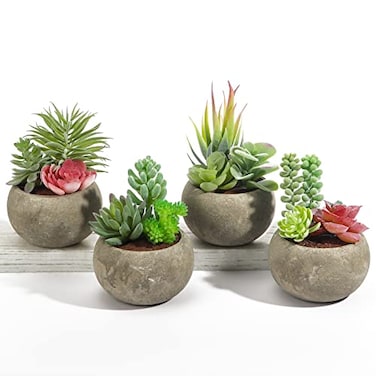 SPEPLA Succulents Plants Artificial 4 Pack Mini Fake Succulents in Pots Assorted Small Faux Succulent Decorative for Living Room Home Office Decor