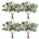 Yoratee Artificial Eucalyptus Stems 24PCS Mixed Eucalyptus Greenery Stems Silver Dollar Leaves with White Seeds Green Plants Wedding Bouquet Green Decor Flower Arrangement Mixed Round Leaves
