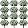 Janinka 60 Pcs Artificial Greenery Eucalyptus Stem Artificial Mixed Eucalyptus Stems Leaves Bulk with White Seeds Silver Dollar Faux Greenry Stems Sprays for Wedding Bouquet Decor Flower Arrangement