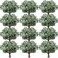 Janinka 60 Pcs Artificial Greenery Eucalyptus Stem Artificial Mixed Eucalyptus Stems Leaves Bulk with White Seeds Silver Dollar Faux Greenry Stems Sprays for Wedding Bouquet Decor Flower Arrangement
