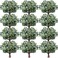 Janinka 60 Pcs Artificial Greenery Eucalyptus Stem Artificial Mixed Eucalyptus Stems Leaves Bulk with White Seeds Silver Dollar Faux Greenry Stems Sprays for Wedding Bouquet Decor Flower Arrangement