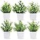 Der Rose 6 Pack Small Fake Plants Artificial Plants in Pots for Home Bthroom Bedroom Living Room Decor IndoorGreen