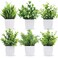 Der Rose 6 Pack Small Fake Plants Artificial Plants in Pots for Home Bthroom Bedroom Living Room Decor IndoorGreen