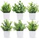 Der Rose 6 Pack Small Fake Plants Artificial Plants in Pots for Home Bthroom Bedroom Living Room Decor IndoorGreen