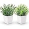 Der Rose 2 Pack Fake Plants Mini Artificial Greenery Potted Plants for Home Decor Indoor Office Table Room Farmhouse