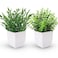 Der Rose 2 Pack Fake Plants Mini Artificial Greenery Potted Plants for Home Decor Indoor Office Table Room Farmhouse