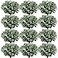 Janinka Mixed Eucalyptus Leaves Stems Bulk with White Seeds Artificial Silver Dollar Leaves Sprays Faux Oval for Wreath Garland Floral Bouquets Arrangement Wedding Greenery Decoration60 Pcs